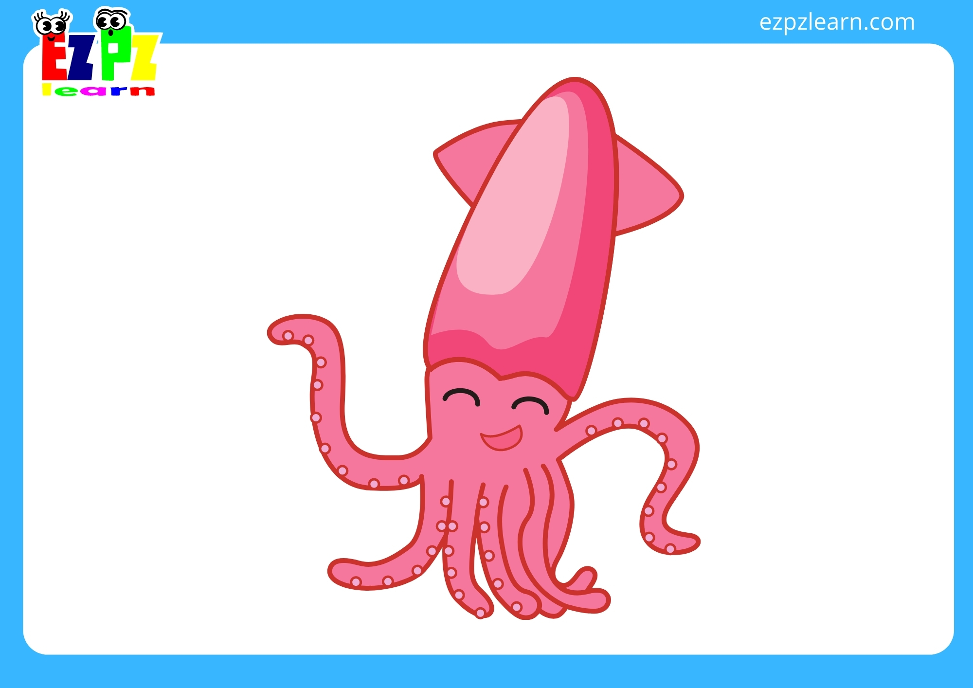squid